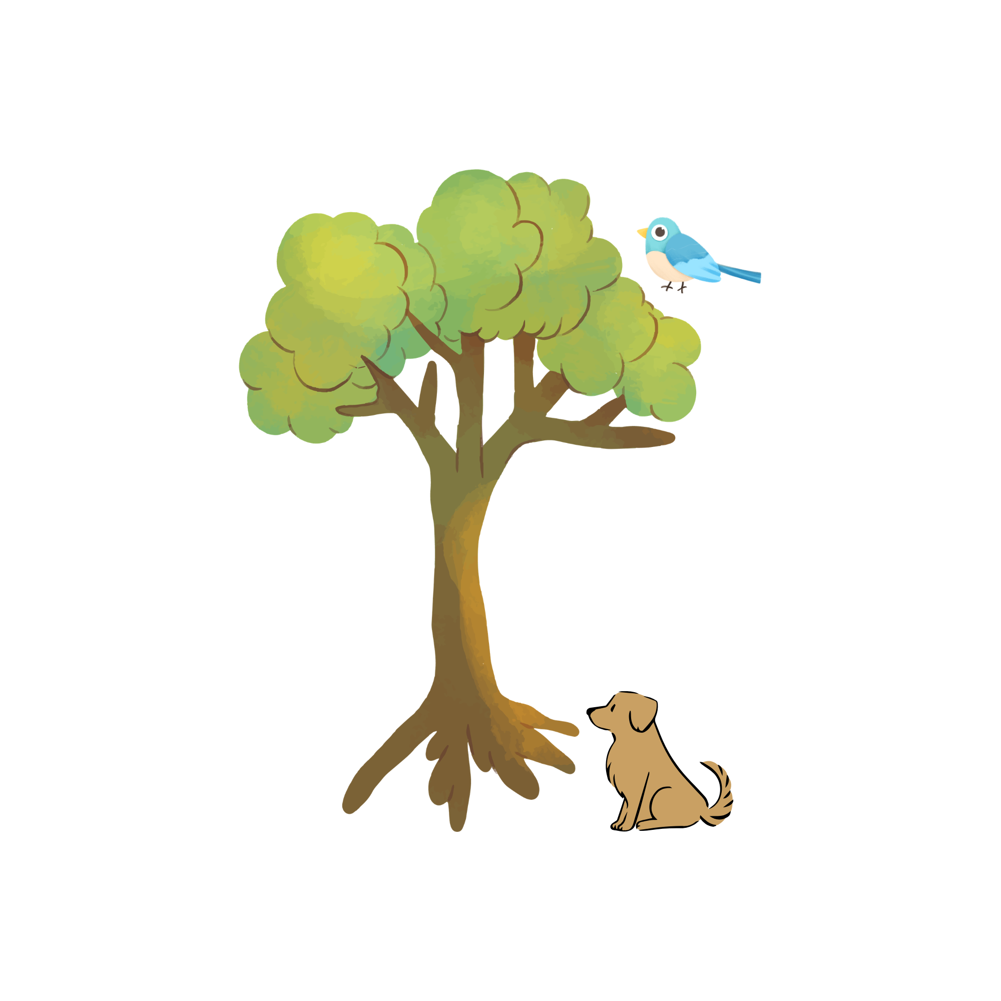 Nature and Animals